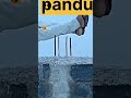 Pandu Funny Video