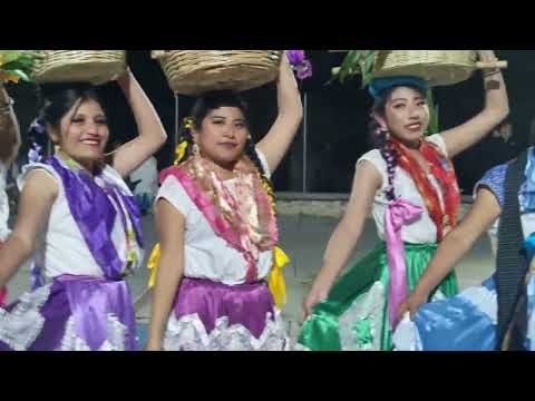 Fiesta en Honor a Santa Cecilia | Chinas Oaxaqueñas ponen el ambientazo al ritmo de la Banda #oaxaca