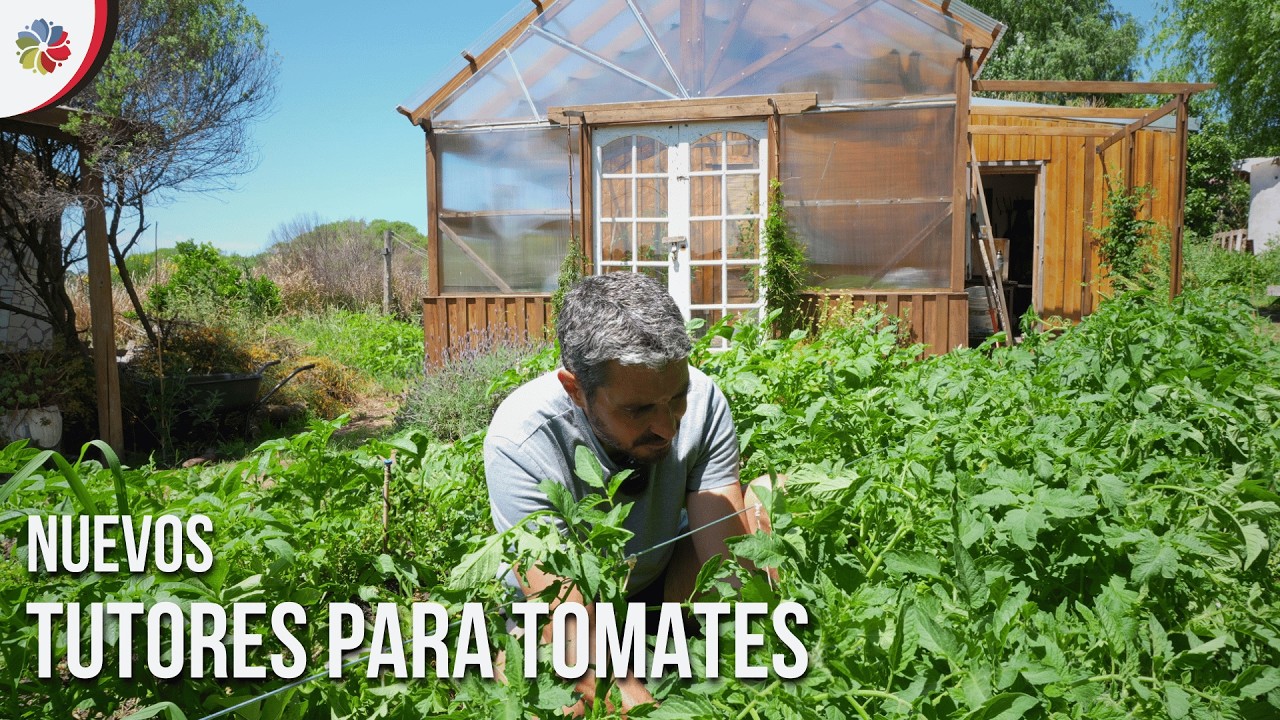 🍅 Nuevos TUTORES para TOMATES y más por hacer que por decir