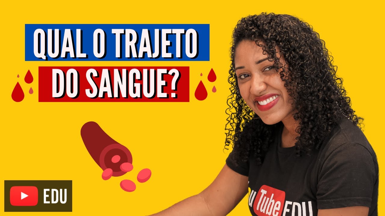 Qual trajeto do sangue?