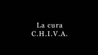 Un caso di Cartografia CHIVA commentato