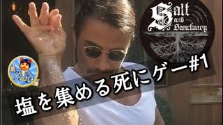 【塩を集める死にゲー！】Salt and Sanctuary【生配信#1】