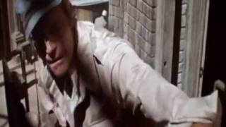 SINIESTRO TOTAL - Cada día somos más