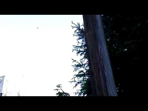 Tour in the backyard spring weather🤩#tourinbackyard #maribethbonita