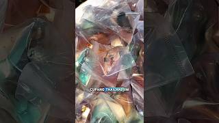 Download lagu The highest number of deaths of Thai betta fish in Fishkinian! A huge loss?! #fishkinian #cupangf... mp3