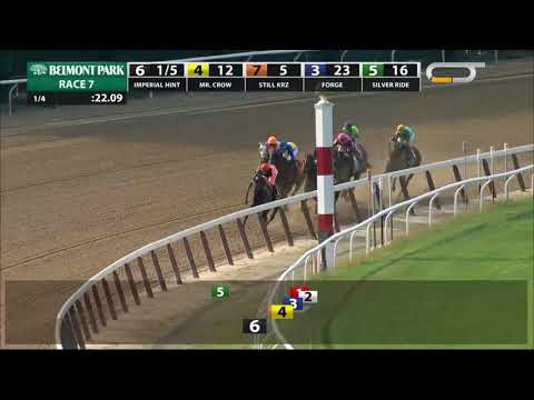 Imperial Hint - 2018 - The Vosburgh Stakes