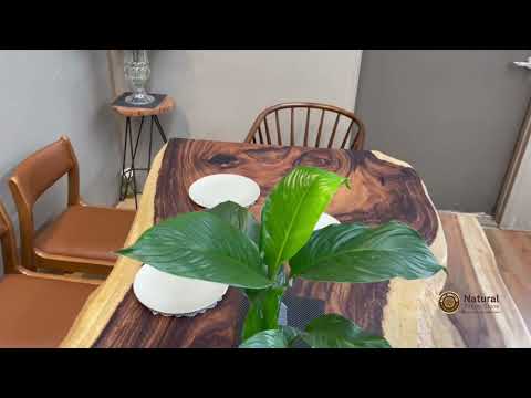 NTS1414 - 2.3m live edge dining table