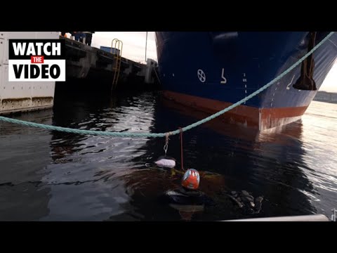 Antarctic fishing protester met with cold-water plunge