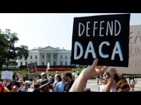 Dreamers need to go: Nick Adams