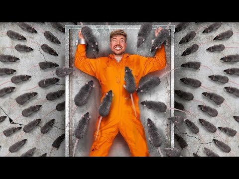 800 000 $ Kazanmak İçin En Büyük Korkunuzla Yüzleşin MrBeast Türkçe Dublaj