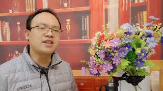 中国历史18：汉武帝心术不正，一时尽听小人之言，冤枉大太子。
