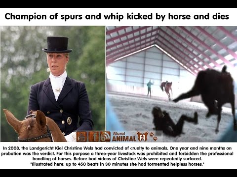 download lagu mp3 mp4 Christine Wels Video, download lagu Christine Wels Video gratis, unduh video klip Download Christine Wels Video Mp3 dan Mp4 Music Online Gratis