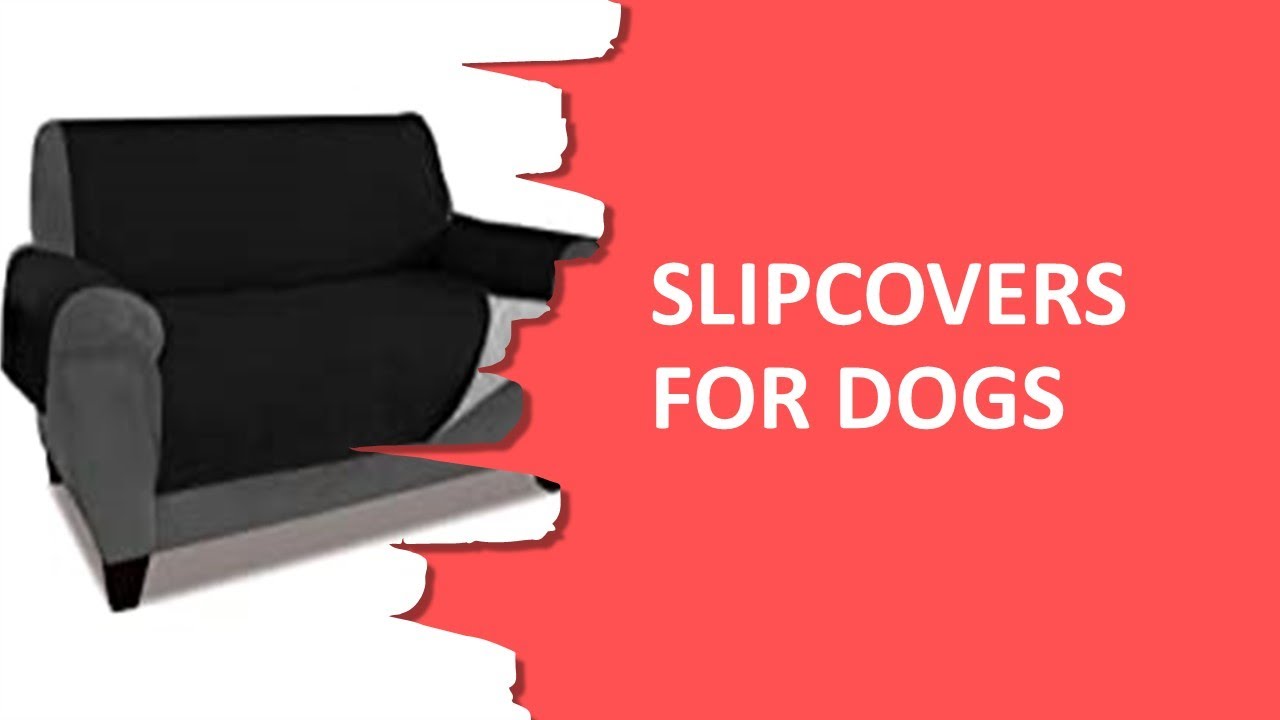 Most Wished 4 Slipcovers For Dogs You Can Get it Now