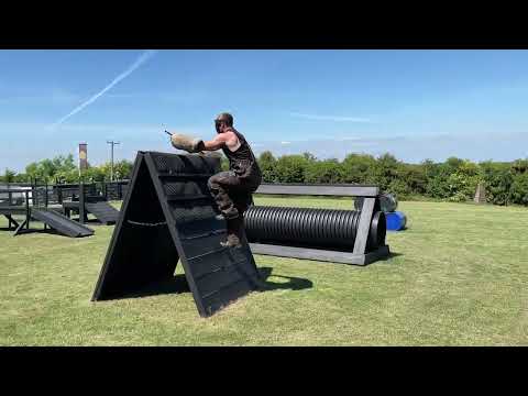 The Chinese Red dog why choose us!! Let’s investigate