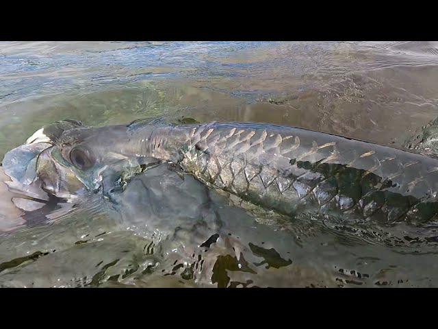 Judge.me YouTube video placeholder