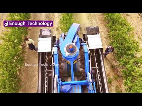Amazing Almond Harvesting and Processing Process | Enough Technology | ET