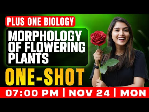 Plus One Biology | Morphology Of Flowering Plants | Oneshot | Exam Winner