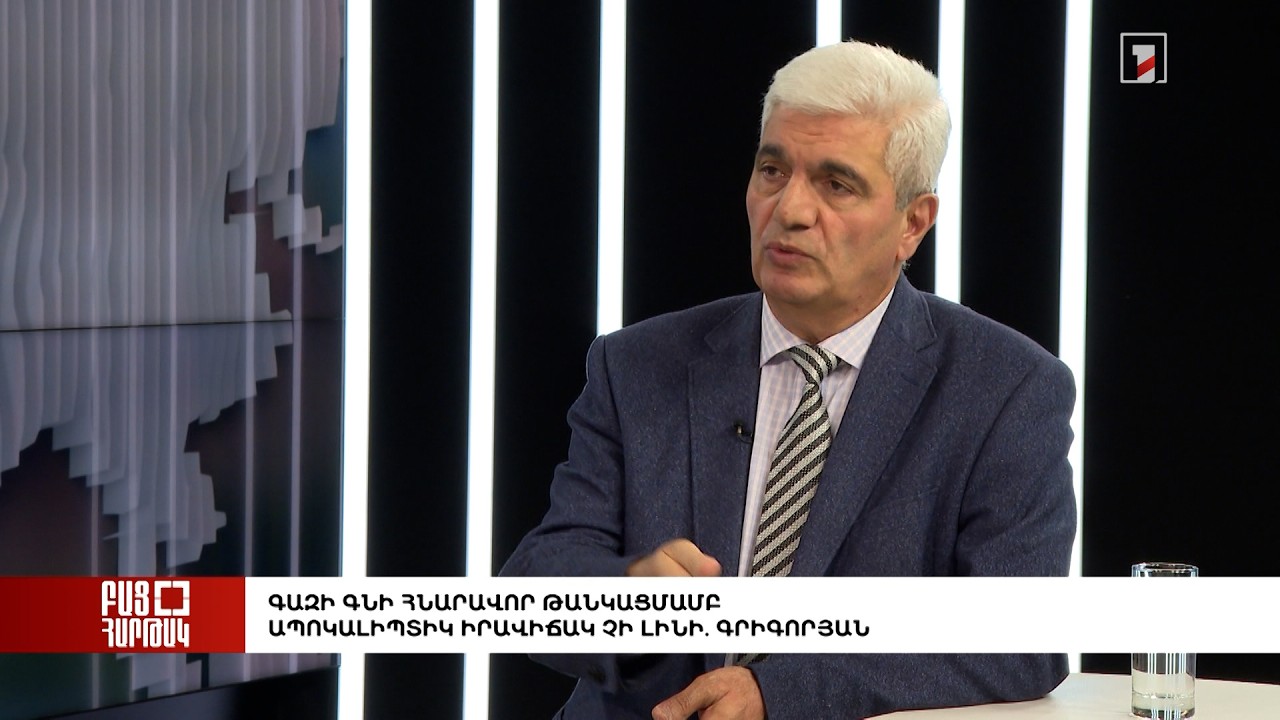 Բաց հարթակ. Գազի գնի հնարավոր թանկացմամբ ապոկալիպտիկ իրավիճակ չի լինի. Գրիգորյան