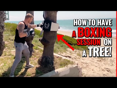 How to have a boxing session on a tree!