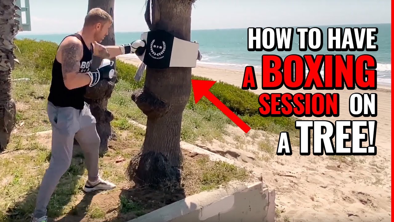 <h1 class=title>How to have a boxing session on a tree!</h1>