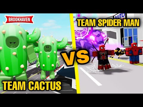 TEAM CACTUS VS TEAM SPIDER MAN SUR BROOKHAVEN ! ROBLOX - BROOKHAVEN RP