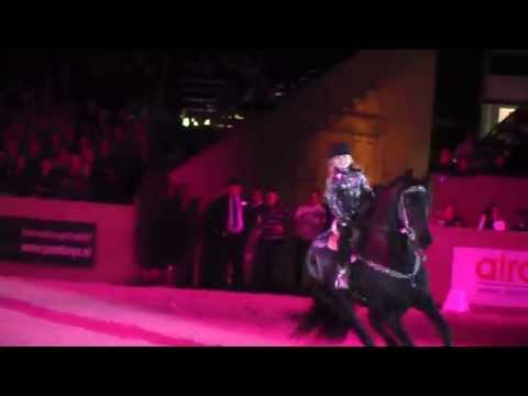 2015 Friesian Stallion Show Friday Evening January 9th, Forever Young