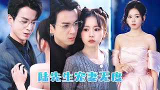 Trouwde koude CEO, geruchten homo—bezat haar nacht, liet niet opstaan.