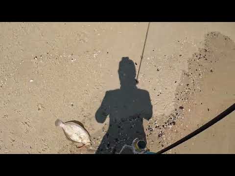 Non-Stop Fluke (Summer Flounder) Action, New Jersey 2022 Part1