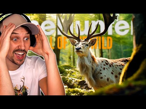 Mein SCHÖNSTER Diamant Damhirsch! theHunter Call of the Wild