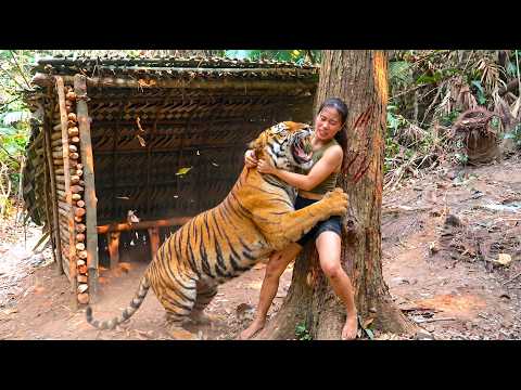 O tigre descobriu meu novo esconderijo. Como posso impedir que ele me fareje?