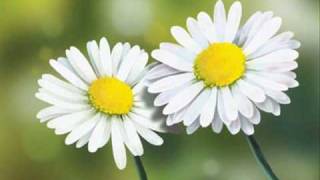 Blumfeld - Laß uns nicht von Sex reden.