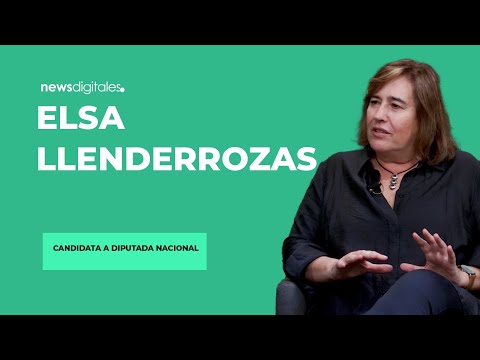 Elsa Llenderrozas apuntó contra la grieta y cuestionó el modelo de Milei: "Son corruptos"