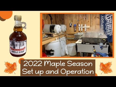 Maple Syrup Season 2022 Our Set Up and Operation