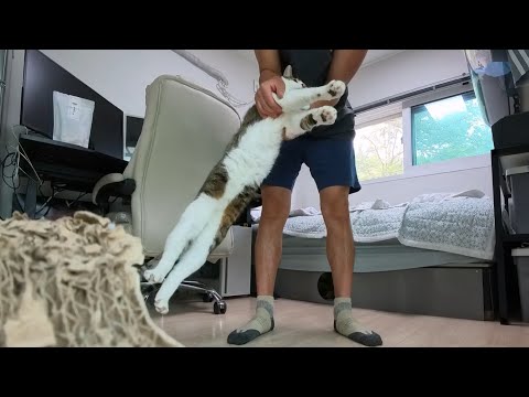 무는 순하다 순한건 무다