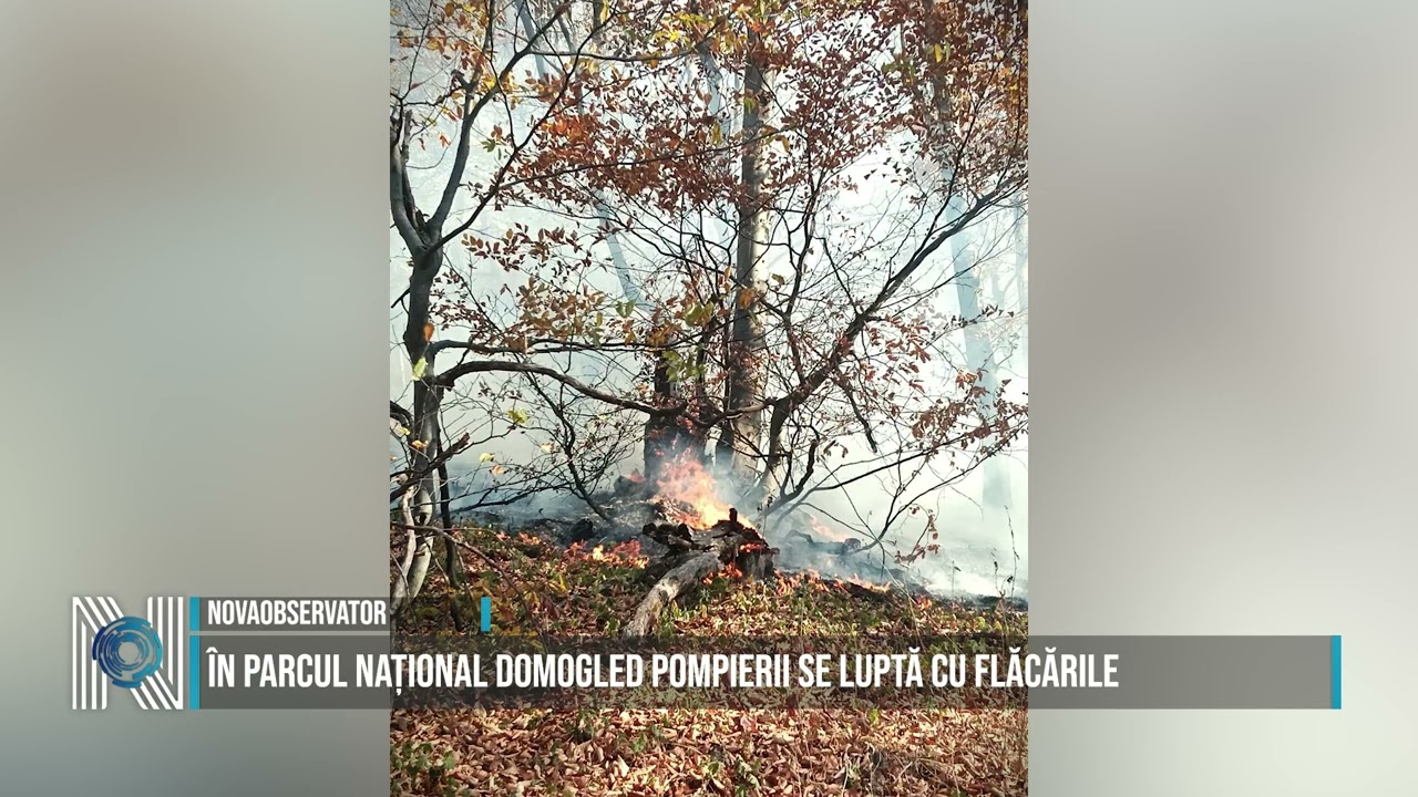 În Parcul Național Domogled pompierii se luptă cu flăcările
