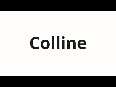 How to pronounce Colline