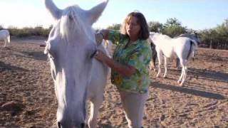 Trailer: House of the Star by Caitlin Brennan