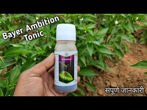 Ambition Tonic || Bayer Ambition pgr Details information
