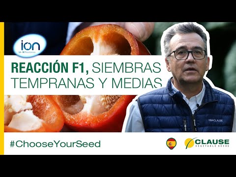 Video: REACCION F1