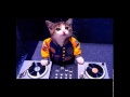 David Deejay feat. Dony - Sexy Thing + Lyrics ...
