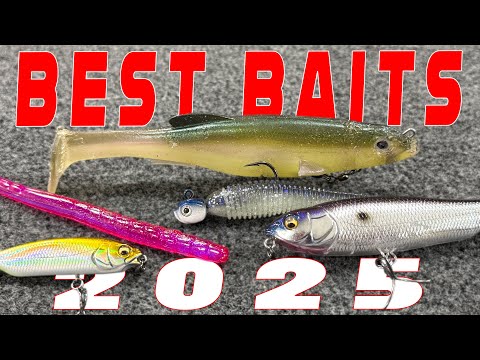 Top 10 Bass Fishing Baits Of 2025!