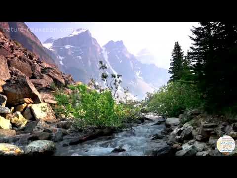 Besimi i Ehli Sunetit dhe Xhematit 2 prej 4