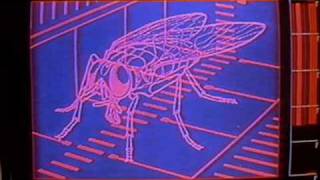 OST The Fly - Track 20 - The Maggot / Fly Graphic