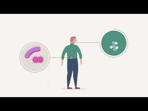 Decrypting bacterial virulence networks  - video