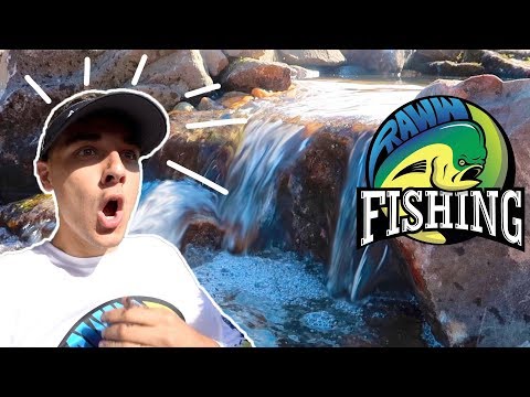 RAWW FISHING Gets AQUASCAPED with a NEW KOI POND!!!