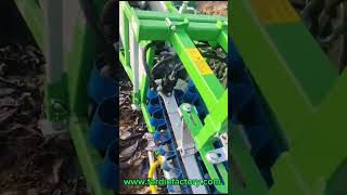 AMERICA Cavolaia leaf vegetable harvester