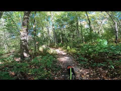 THE WARNER TRAIL Sec 8, F. Gilbert Hills Forest to Lakeview Rd to Rt.140 Foxborough, MA Vid 8 of 8