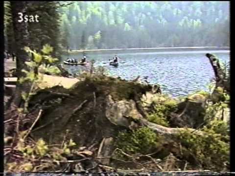 Slavko Avsenik - Ans. bratov Avsenik