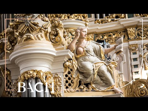 Bach - Sonata no. 2 in C minor BWV 526 - Winsemius | Netherlands Bach Society