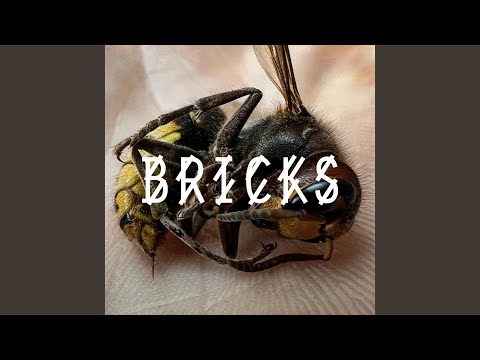 Bricks